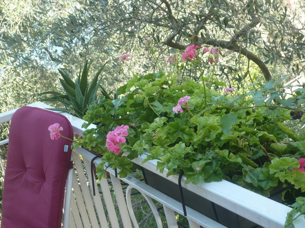 Appartamento Michela Brenzone sul Garda Room photo